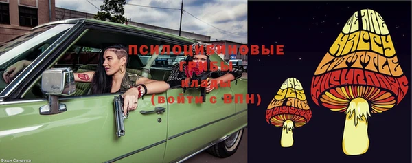 мескалин Лабытнанги