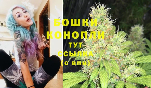 мескалин Лабытнанги