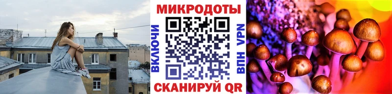 Купить где  Миньяр  Псилоцибиновые грибы Magic Shrooms 